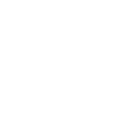 solution Icon