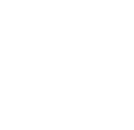 solution Icon