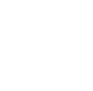 solution Icon
